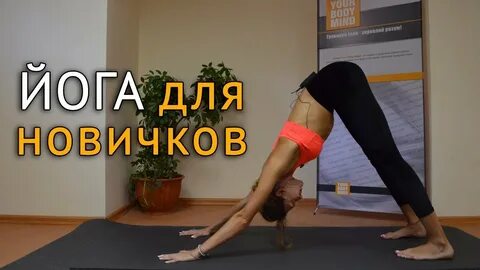 Йога для начинающих видео занятия