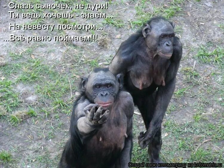 А почему не вижу