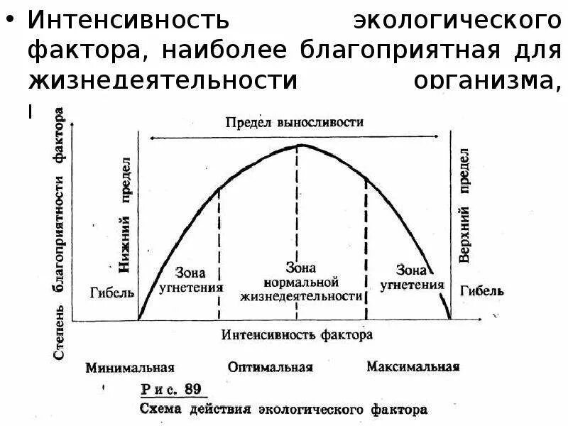 Зависимость от природных факторов. Зона оптимума экологического фактора. Зависимость от природных факторов. Схема действия экологического фактора на организм. Интенсивность воздействия фактора.