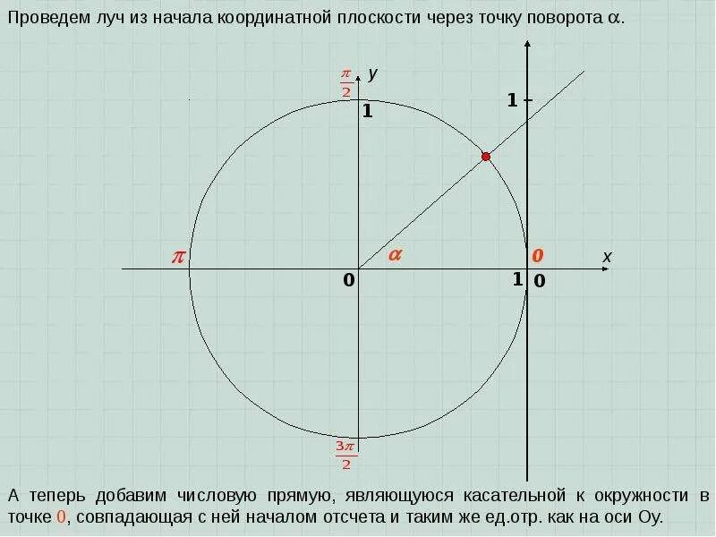 Координатная плоскость косинуса. Тригонометрическая координатная прямая. Знаки тригонометрических функций на единичной окружности. Числовая единичная окружность. График синуса.