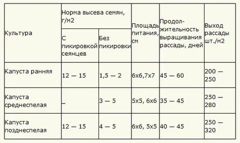 Сроки посадки семян капусты на рассаду