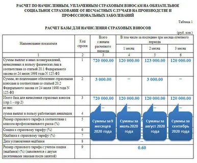 Фсс 2022 год