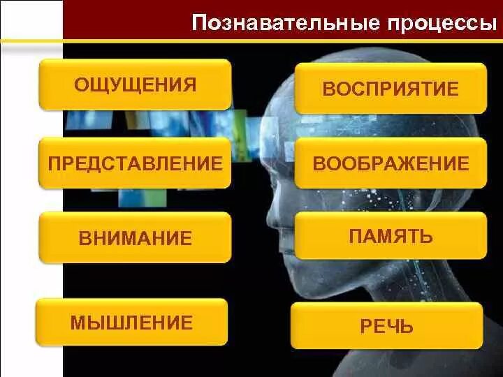 Ощущения память мышление воображение восприятие. Мышление речь и воображение. Познавательные процессы внимание мышление. Внимание память мышление воображение. Ощущение восприятие представление воображение.