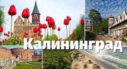 Туристический калининград. Сербия путевки. Осень. Калининград. Калининград необычные места.
