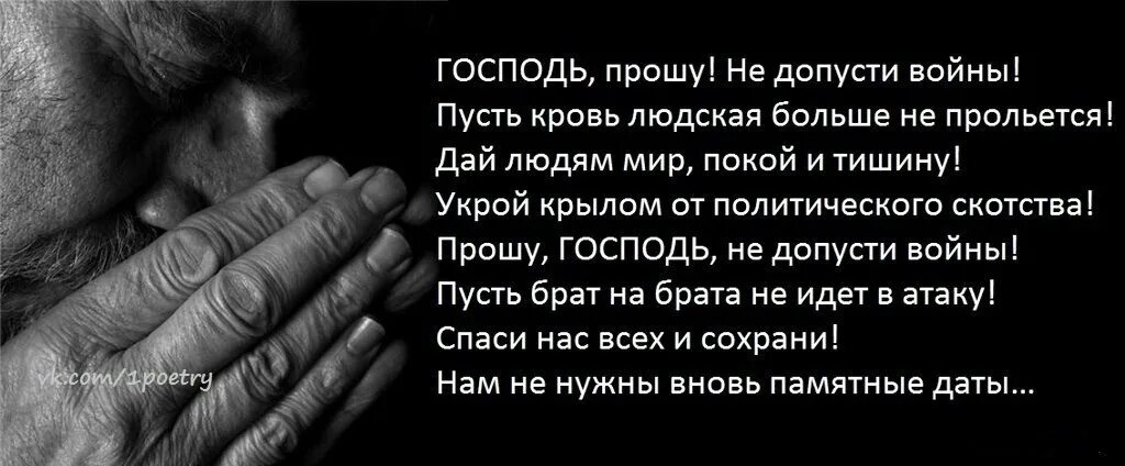 Просит остановиться. Цитаты про войну. Цитаты и высказывания о войне. Мудрые цитаты о войне. Умные цитаты про войну.