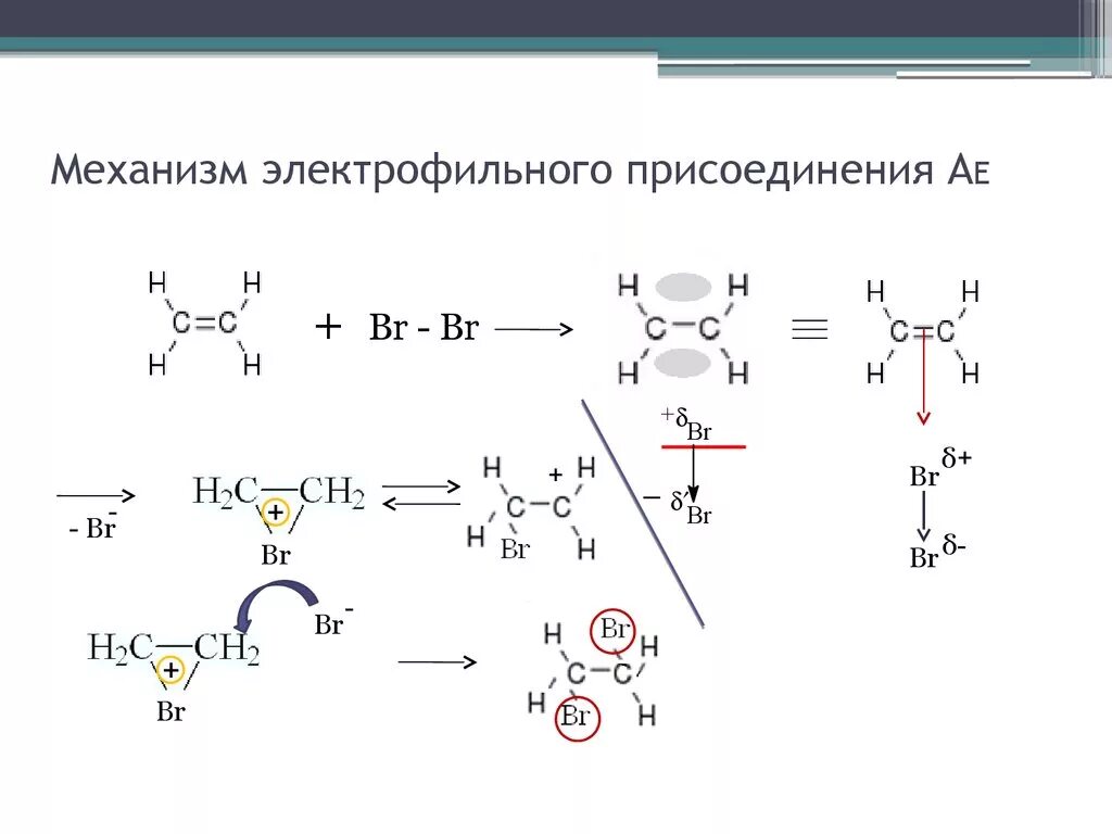 Реакция бромирования пропена. Механизм реакции электрофильного присоединения. Механизм реакции электрофильного присоединения алкенов. Механизм электрофильного присоединения алкенов. Алкены механизм реакции электрофильного присоединения.