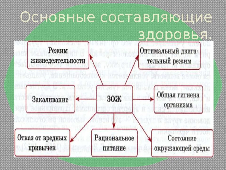 Составляющие здоровья обж 9 класс. Составляющие здоровья человека. Основные составляющие здоровья человека. Составляющие здоровья схема. Здоровье составляющие здоровья.