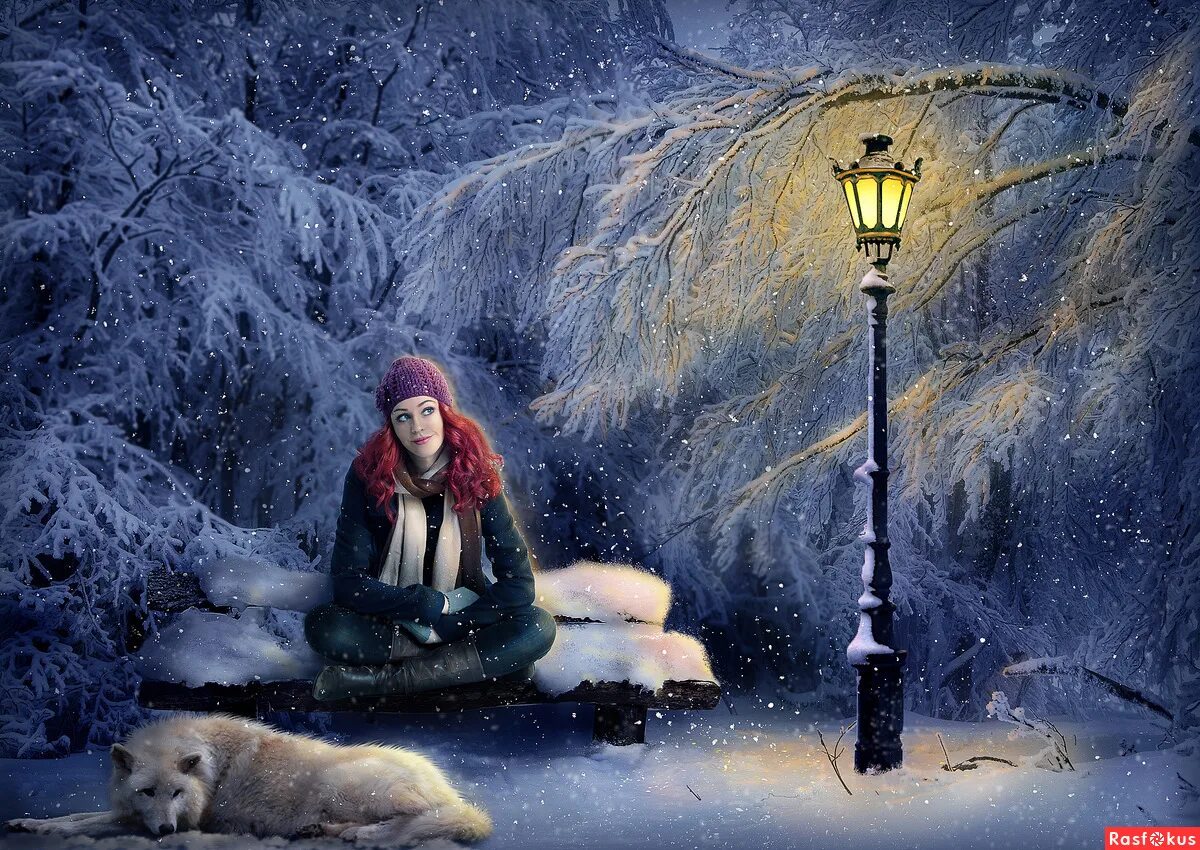 Рождественский молчание. Девушка в зимнем лесу. Зимний вечер девушка. Зима волшебство. Волшебная фотосессия в зимнем лесу.