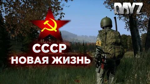 Новая жизнь dayz