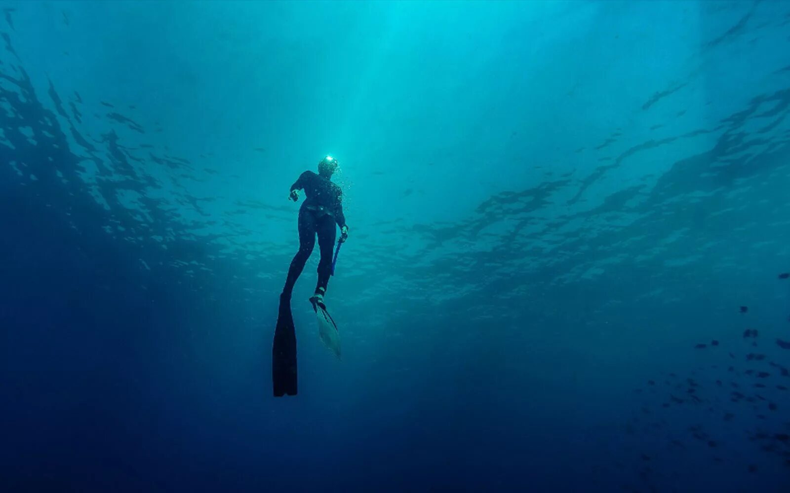 Герберт нич фридайвер. Глубина погружения. В глубине большого тела. В глубине большого тела. Под водой.