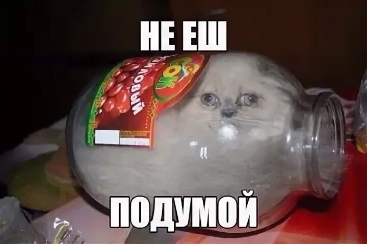 Почти поняла