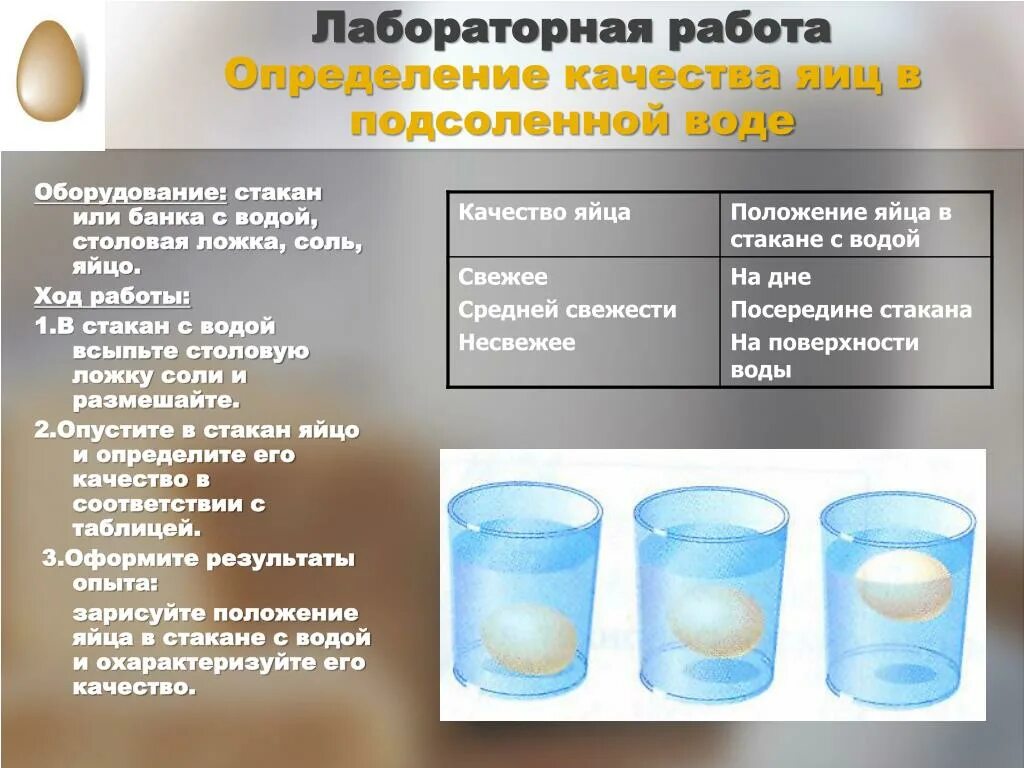 Яйца с газированной водой. Опыт с водой и яйцом и солью. Определение качества яиц. Способы определения качества яиц. Опыт с яйцом и водой.