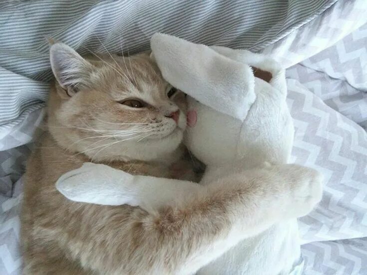 Нежно кусь