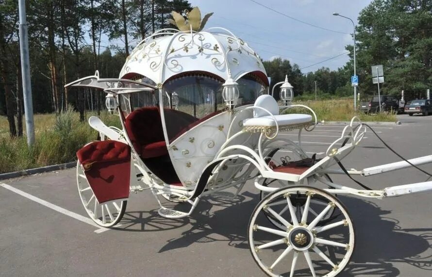 Карета разбор. Мирский замок карета. дворец бракосочетания россошь карета. колесо кареты.