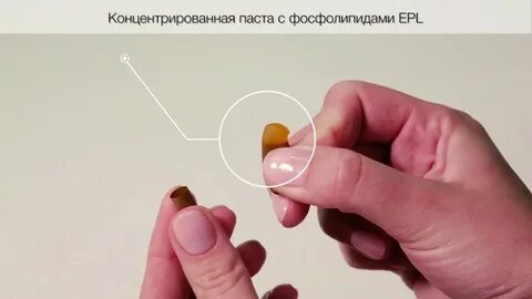 Что внутри капсулы