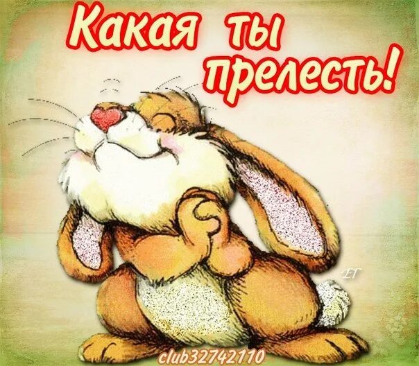 Прелесть ее была в том. Ты прелесть. забавные открытки. открытки какая прелесть. ты прелесть картинки.
