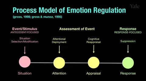 Process model