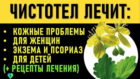 Соком чистотела лечат заболевания кожи разбор предложения