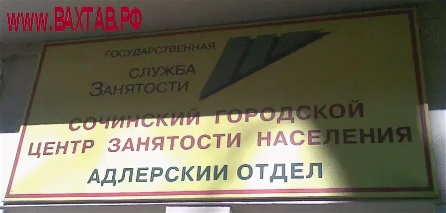 Сочи вакансии отдел. Сочи вакансии отдел