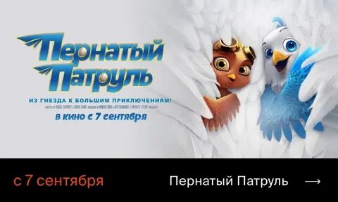 Пернатый патруль 2023