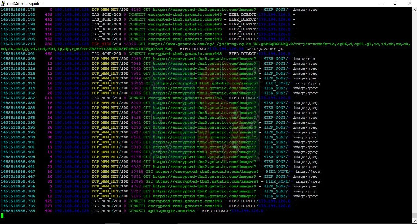 Https encrypted. SSL Bump Squid. TCP mem. Encrypted-tbn2. Encrypted-tbn0.gstatic.