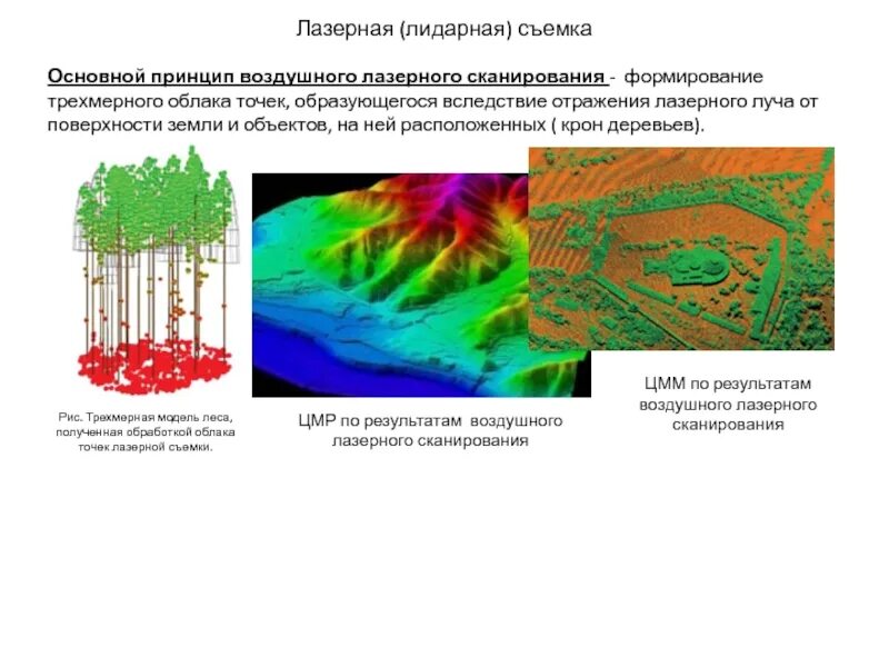 Лидарная съемка. Облако точек лазерного сканирования. лазерная (лидарная) съемка. лазерное сканирование леса. воздушное лазерное сканирование в лесном хозяйстве.