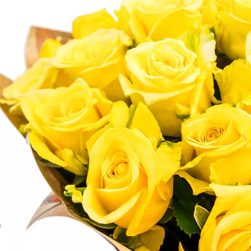 йеллоу саммер-флорибунда.