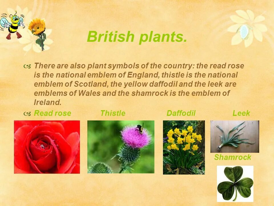 Flora and fauna of the british isles. Flora and fauna of great britain. животные и растения великобритании. растения в англии на английском.