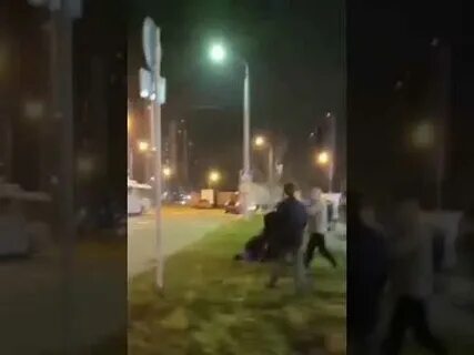 Почему кустики напали на алису