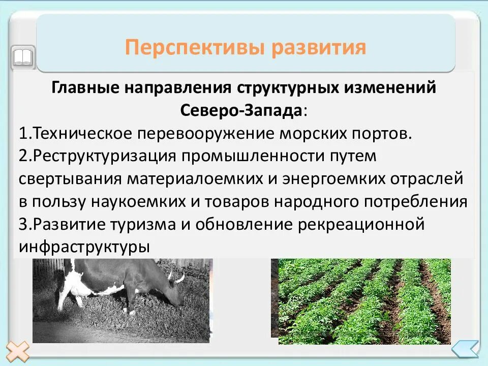 Какие экологические проблемы стоят перед европейским севером. Северо-Запада России перспектива развития района. Перспективы развития района Северо Запада. Северо Западный район перспективы развития и проблемы района. Проблемы и перспективы развития Северо-Западного района России.
