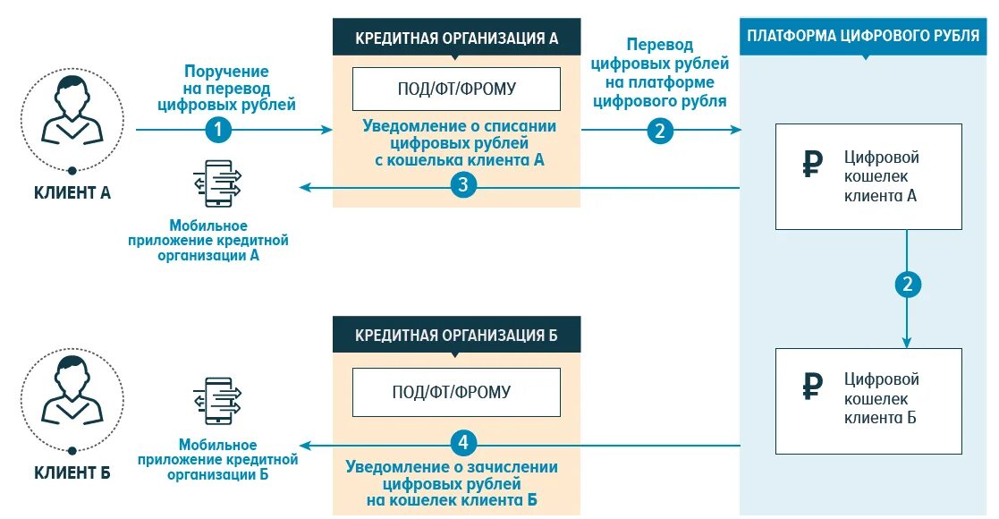 Переведи digital. Схемы перевода средств между юридическими лицами. Концепция цифрового рубля. Цифровой перевод. Клиенты банка России.