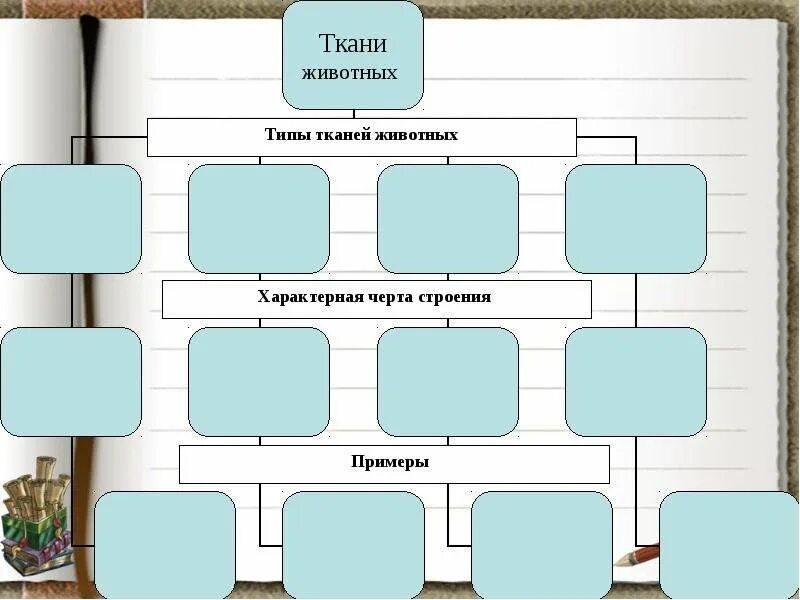 Ткани животных рисунки Foto-Gadanie.ru