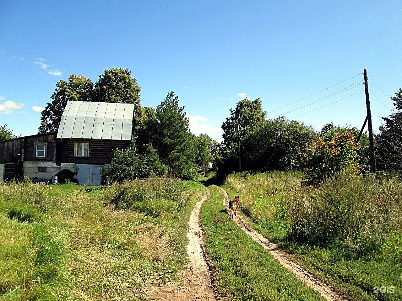 Поля новгородская область. Нижегородская область Вачский район деревня третье поле. Деревня Соловьево Нижегородская область Вачский район. Деревня Пальцино Вачский район Нижегородская область. Деревня Медяны Вачского района Нижегородской.