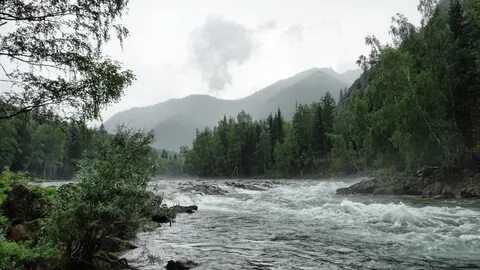Погода кумира