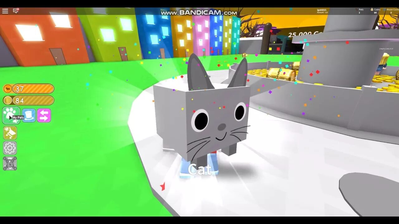 Pet simulator 1