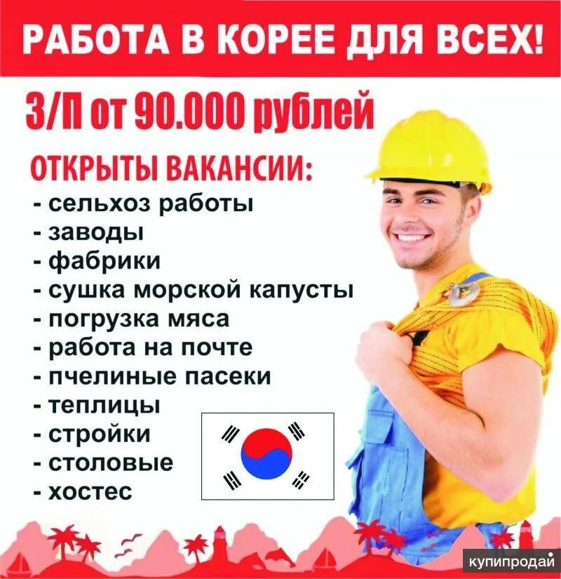 Трудолюбивые корейцы. Сахалинэнерго южно сахалинск работники. Южная корея рабочие. Корейцы в офисе. Япония офисные работники.