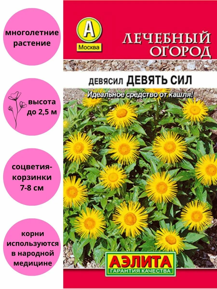 Семена девясил девять сил. Аэлита девясил девять сил. Девясил семена. Многолетние лекарственные растения семена