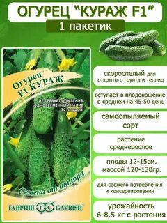 Огурцы кураж ф1 описание сорта фото отзывы