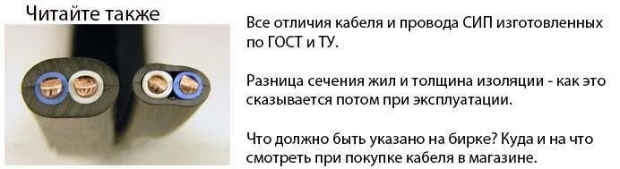 Шнуров отличился