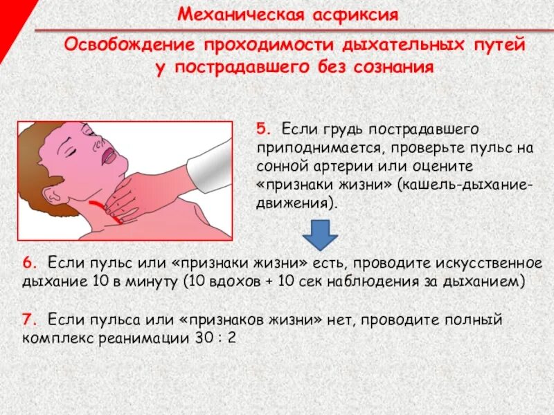 Как определить наличие пульса на сонной артерии