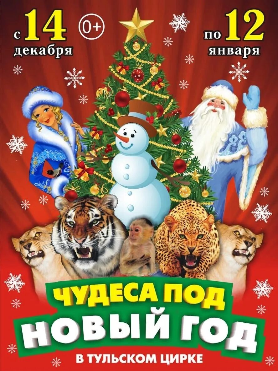 Тульский цирк новый год. Новогодняя программа в тульском цирке. Тульский цирк полосатый новый год. Цирк тула новогоднее представление. Цирк новомосковск тульская.