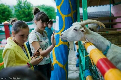 Зоопарк в новороссийске