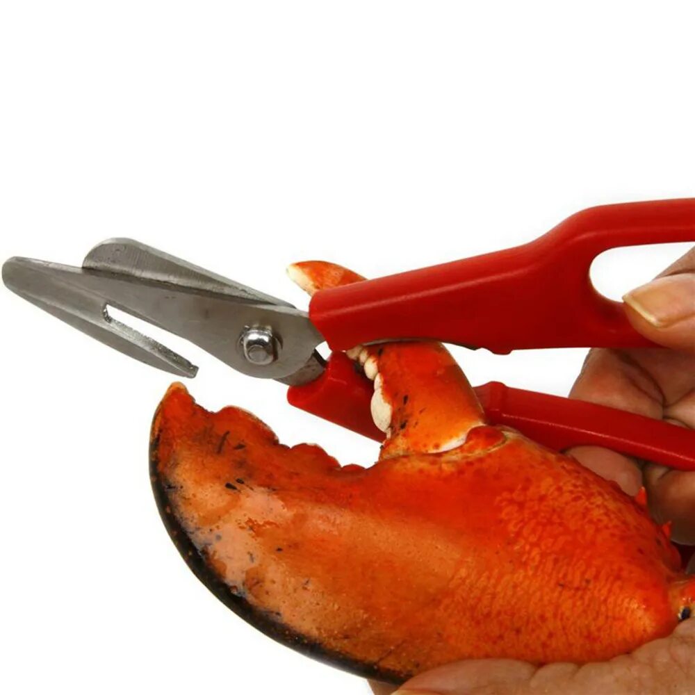 Как чистить краба. Ножницы для морепродуктов. ножницы для краба. ножницы для креветок. ножницы для лобстеров.