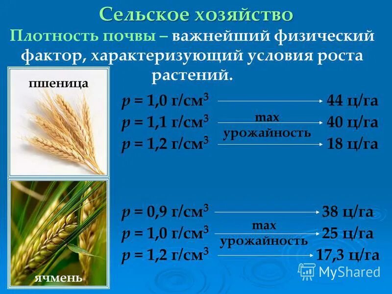Определите плотность почвы. Плотность почвы. плотность почвы для растений. градация по плотности почвы. классификация плотности почвы.