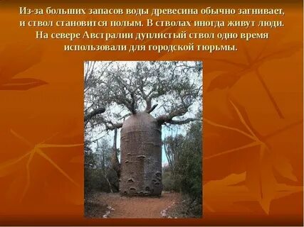 Стать полым