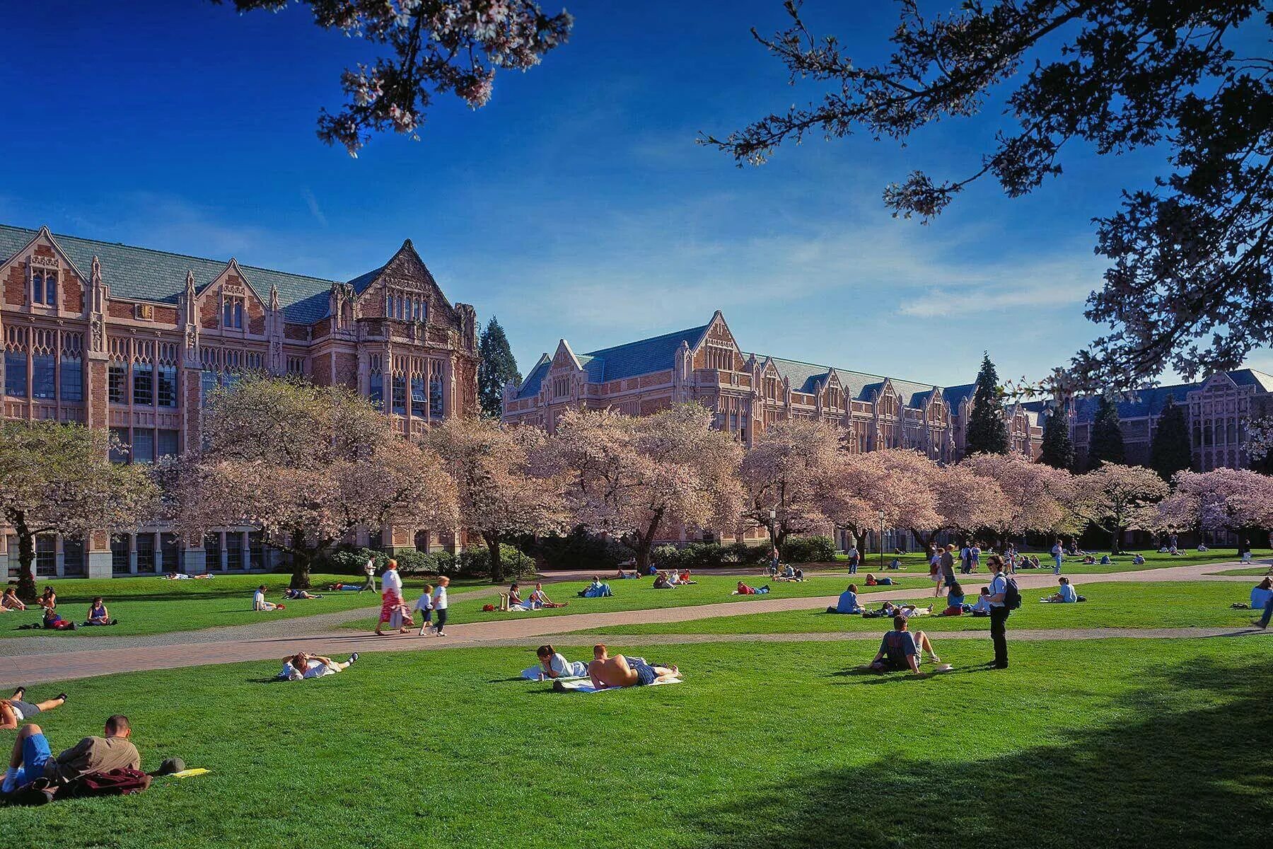Университет Вашингтона в Сиэтле. Бостонский университет США кампус. Вашингтонский университет в Сиэтле кампус. Гарвардский университет кампус. Universal university