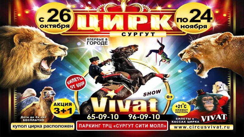 Цирк чебоксары. Цирк чебоксары