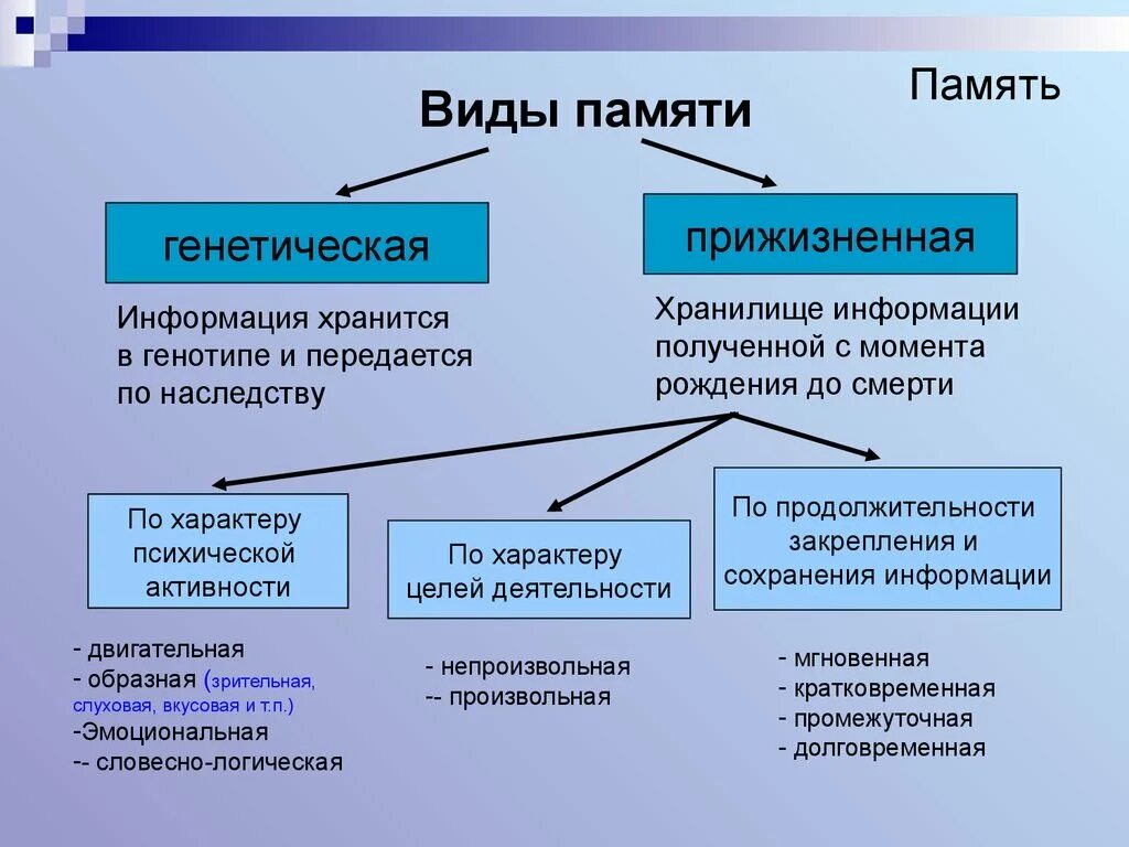 Сколько бывает памяти. Типы памяти в психологии. Память виды памяти. Виды памяти у человека. Формы памяти в психологии.