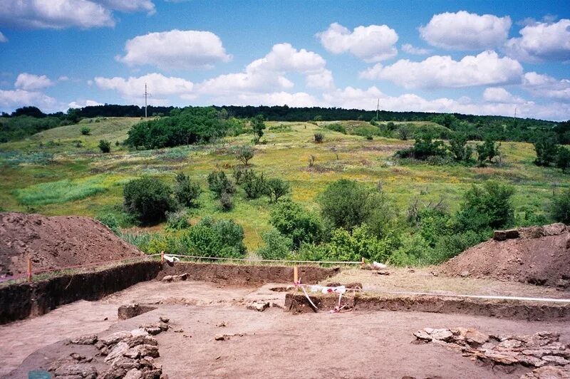 Елизаветинское городище азовский район. Археологический заповедник танаис. Ростовское городище. Елизаветовское городище ростовская область. Кобяково городище катакомбы.