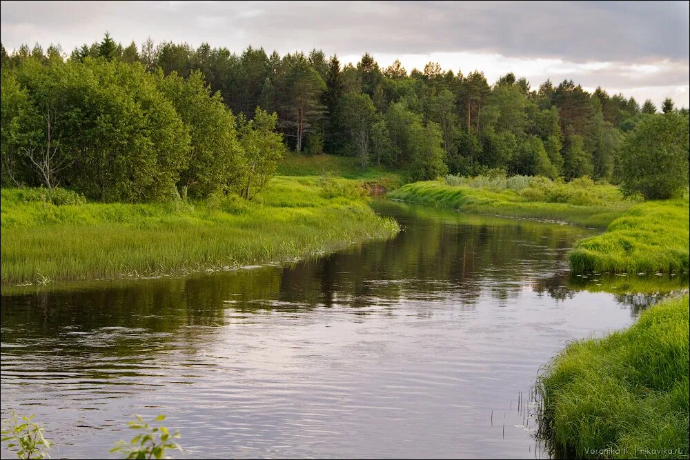 Река западная двина. Даугава Западная Двина. Река Даугава Западная Двина. Озеро белорусское Западная Двина. Исток реки Западная Двина.